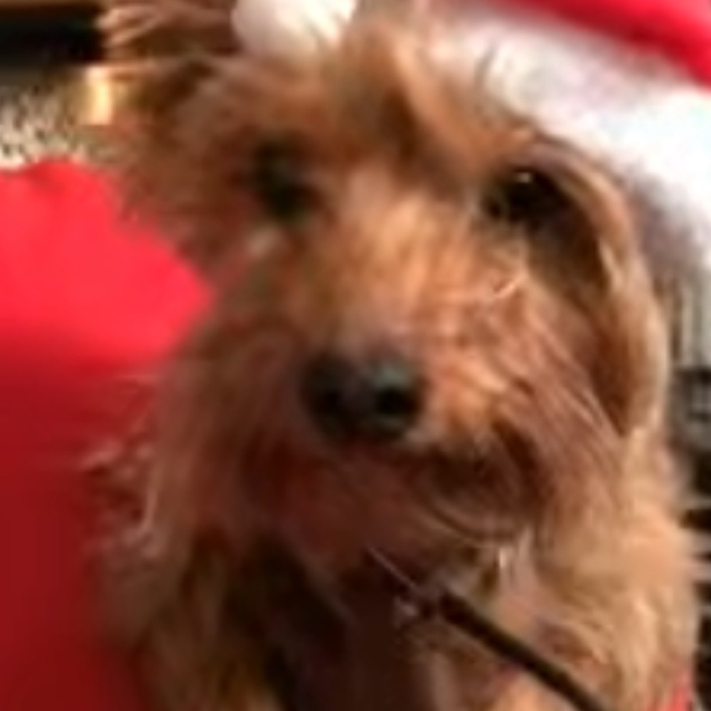 Meet your Posher, Kiesha